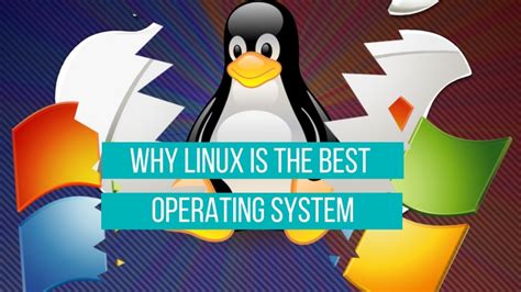 What type of software is used to keep the core system running? And why do penguins prefer Linux over Windows?